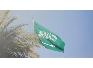 السعودية تدين القصف الإسرائيلي على بلدة كويا السورية وتؤكد دعمها للشعب السوري